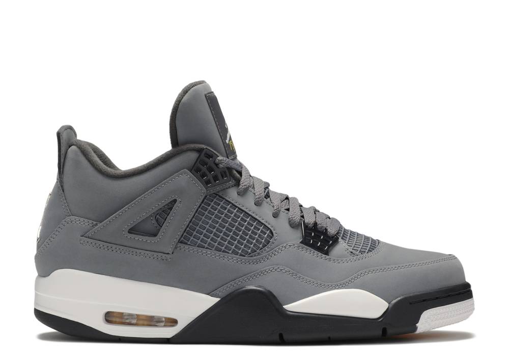 Air Jordan 4 Retro Cool Grey's 2019